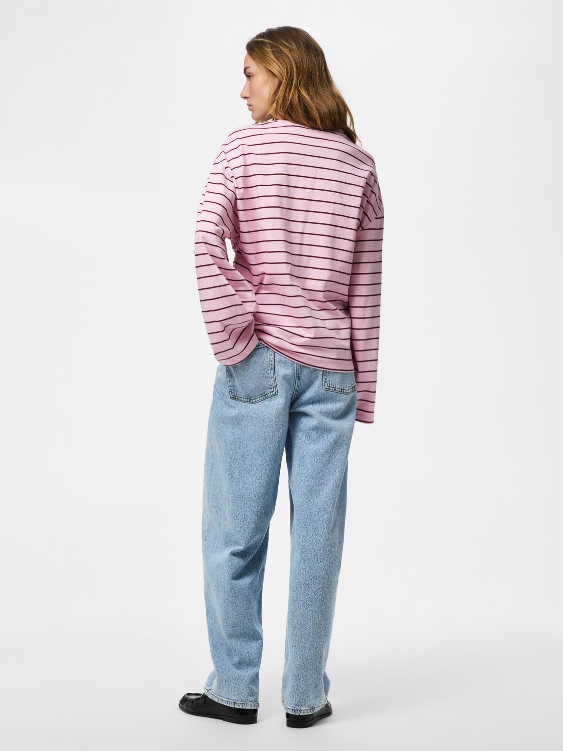 model_shot-back
